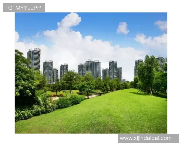 探索厦门姚明生态的独特魅力与可持续发展之路