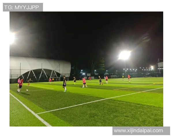 我心中的足球英雄与梦想追逐的激情与荣耀