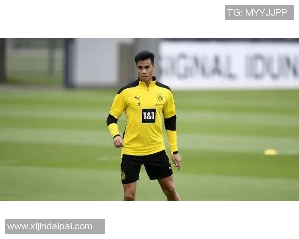 巴西足球明星的成长之路与辉煌历程探秘